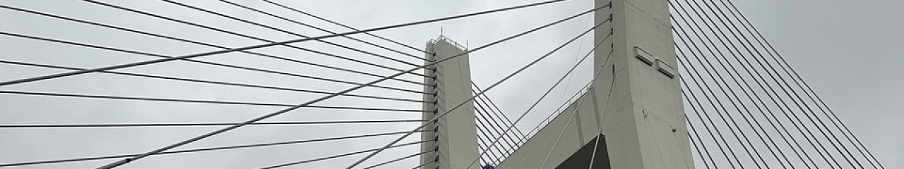 Новый мост через Обь будет обрабатываться материалами «Бионорд»